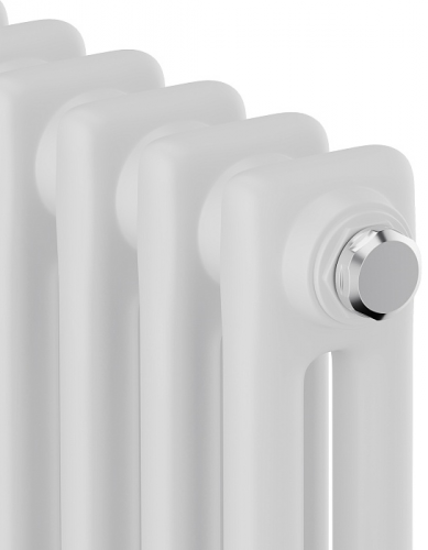 Стальной трубчатый радиатор 2-колончатый Royal Thermo Insignia C2180 - 04 секц. RAL9016, боковое 1/2
