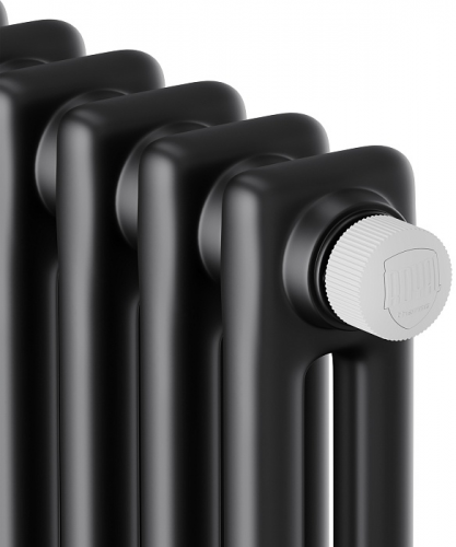 Стальной трубчатый радиатор 2-колончатый Royal Thermo Insignia VC2180 - 12 секц. RAL9005m, нижнее 1/2