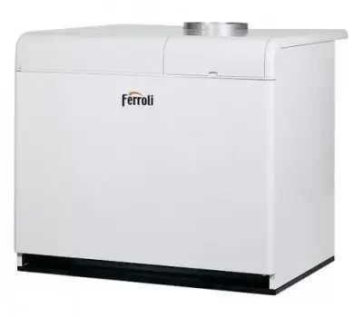 Напольный газовый котел Ferroli Pegasus F3 N 221 2S
